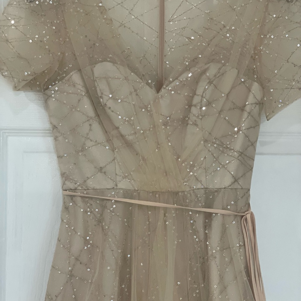 Carmen Marc Valvo Sz 2 Evening Gown